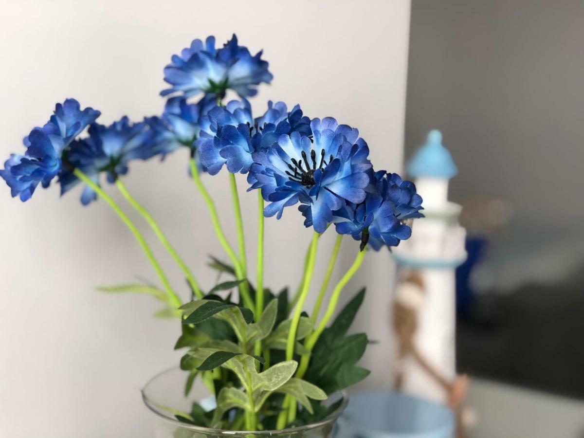 Apartament Ahoj Łeba Zewnętrze zdjęcie